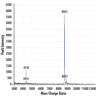 Recombinant Human CCL2/MCP-1 Protein Mass Spectrometry