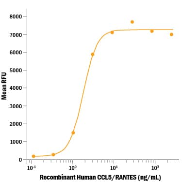 Recombinant Human CCL5/RANTES Protein Bioactivity