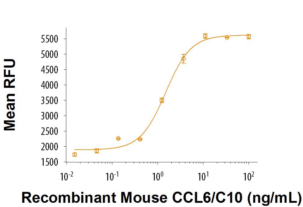 Recombinant Mouse CCL6/C10 (Truncated, aa 42-116) Protein Bioactivity