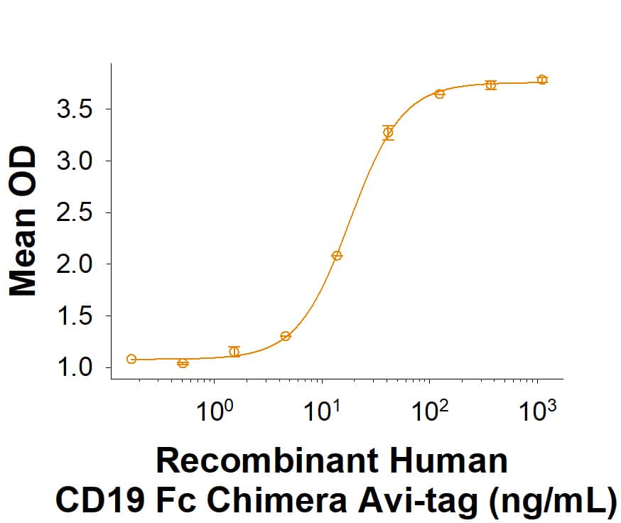 Recombinant Human CD19 Fc Chimera Avi-tag Protein Binding Activity