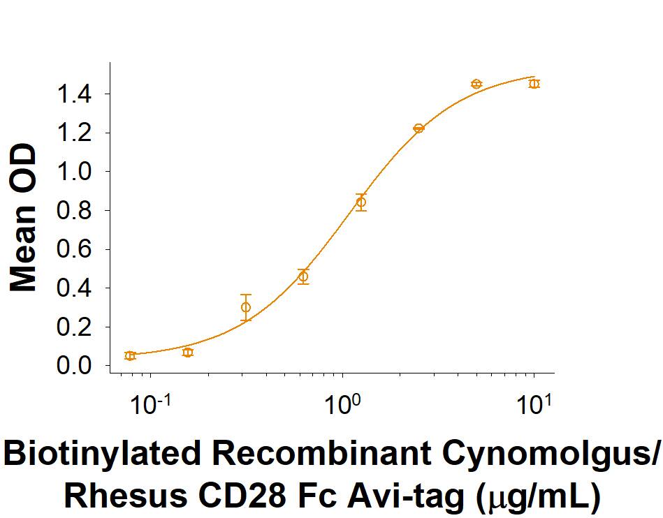 Recombinant Human/Cynomolgus/Rhesus CD28 Fc Avi-tag Binding Activity