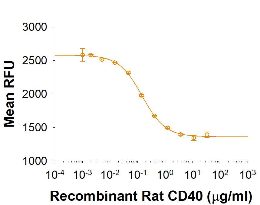 Recombinant Rat CD40/TNFRSF5 Fc Chimera Protein Bioactivity