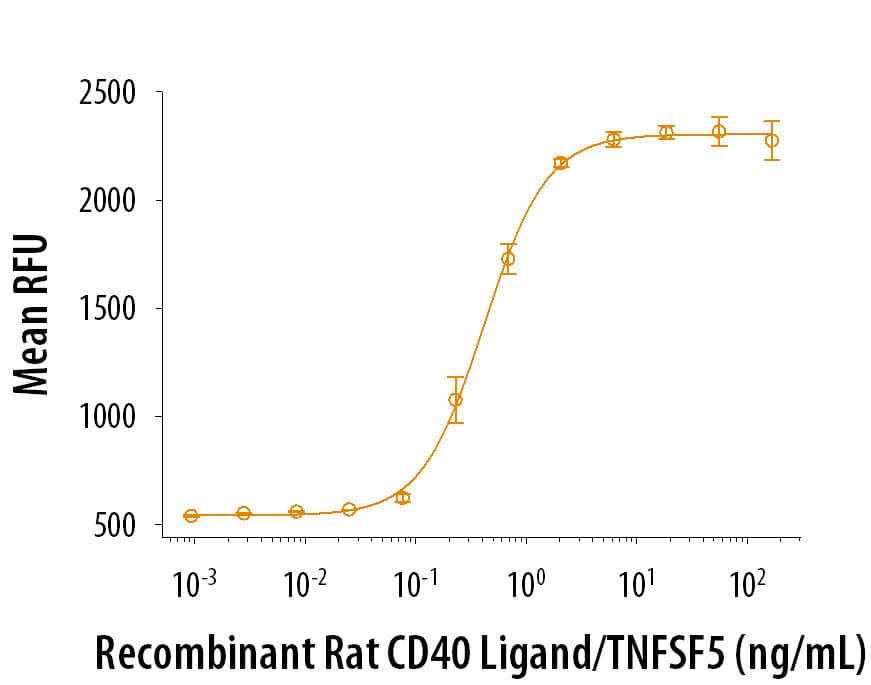 Recombinant Rat CD40 Ligand/TNFSF5 (HA-tag) Protein Bioactivity