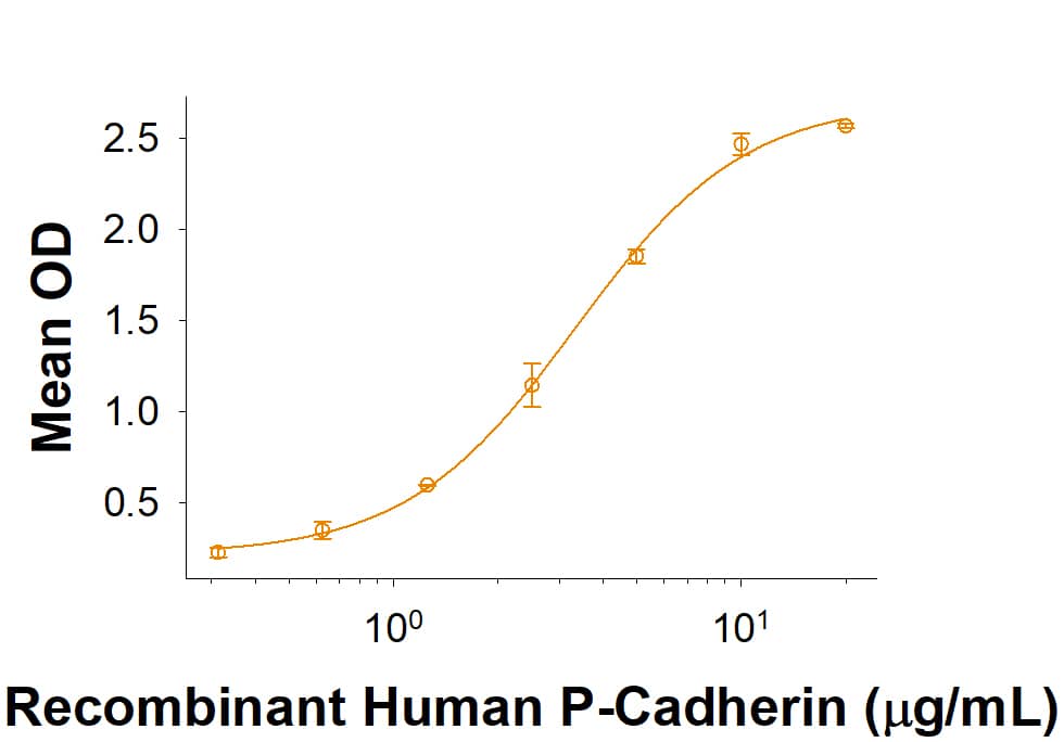 Recombinant Human CDCP1 (Secreted Form) Fc Protein Binding Activity