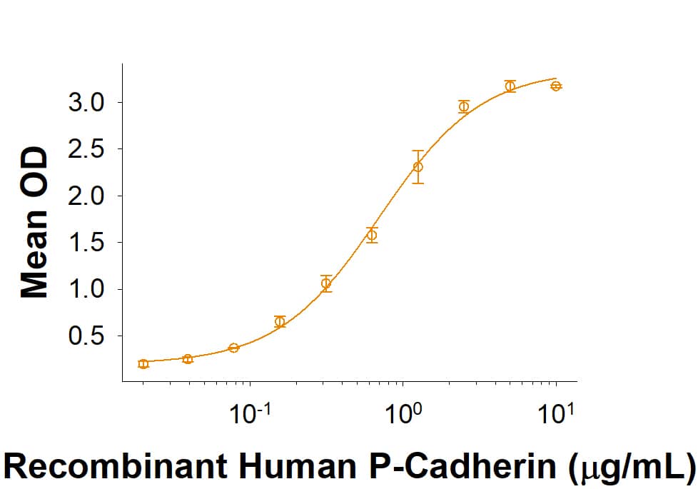 Recombinant Human CDCP1 Fc Chimera Protein Binding Activity