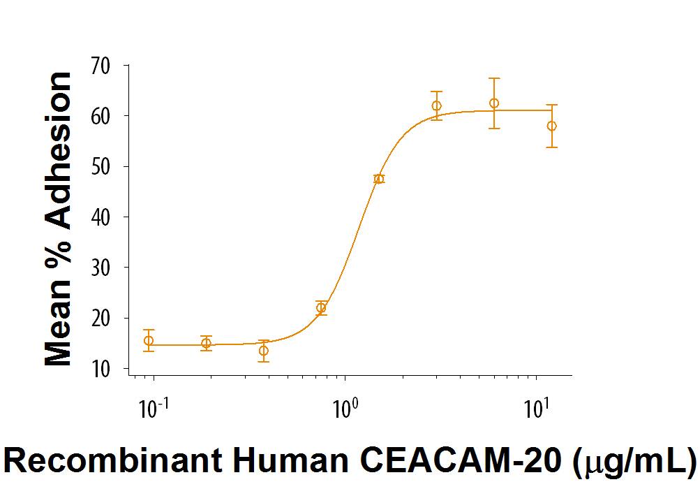 Recombinant Human CEACAM-20 Fc Chimera Protein Bioactivity