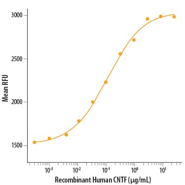 Recombinant Human CNTF Protein Bioactivity