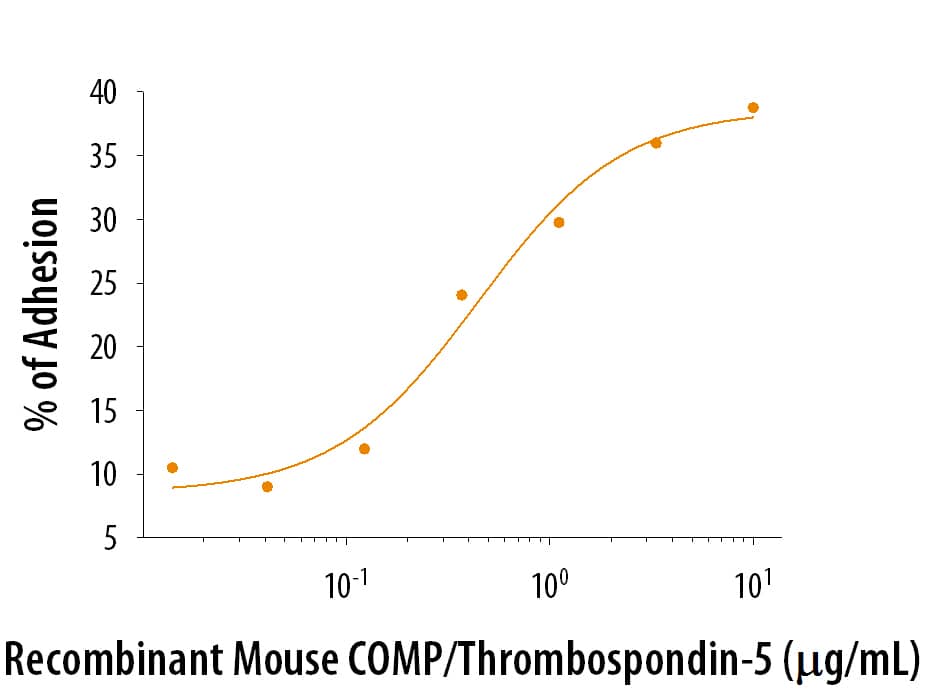 Recombinant Mouse COMP Protein Binding Activity