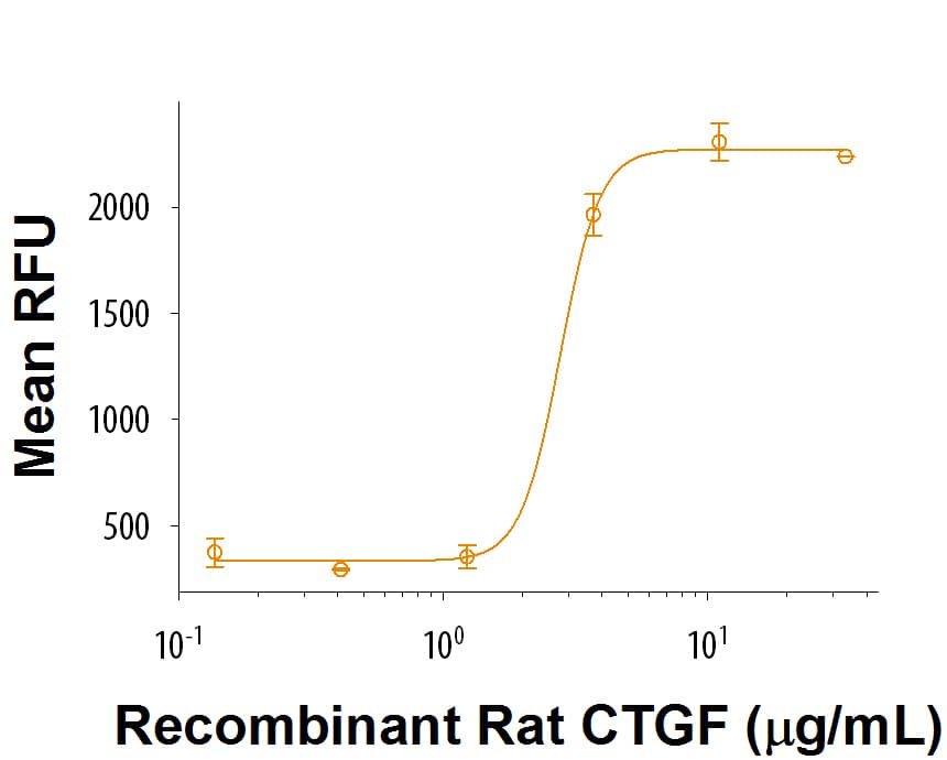 Recombinant Rat CTGF Protein Bioactivity