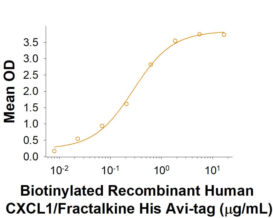 Recombinant Human CX3CL1/Fractalkine His Avi-tag Protein Binding Activity