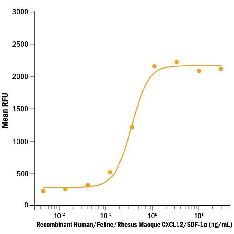 Recombinant Human/Rhesus Macaque/Feline CXCL12/SDF-1 alpha Bioactivity