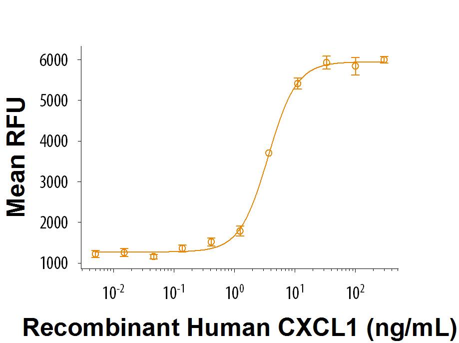 Recombinant Human CXCL1/GRO alpha Protein Bioactivity
