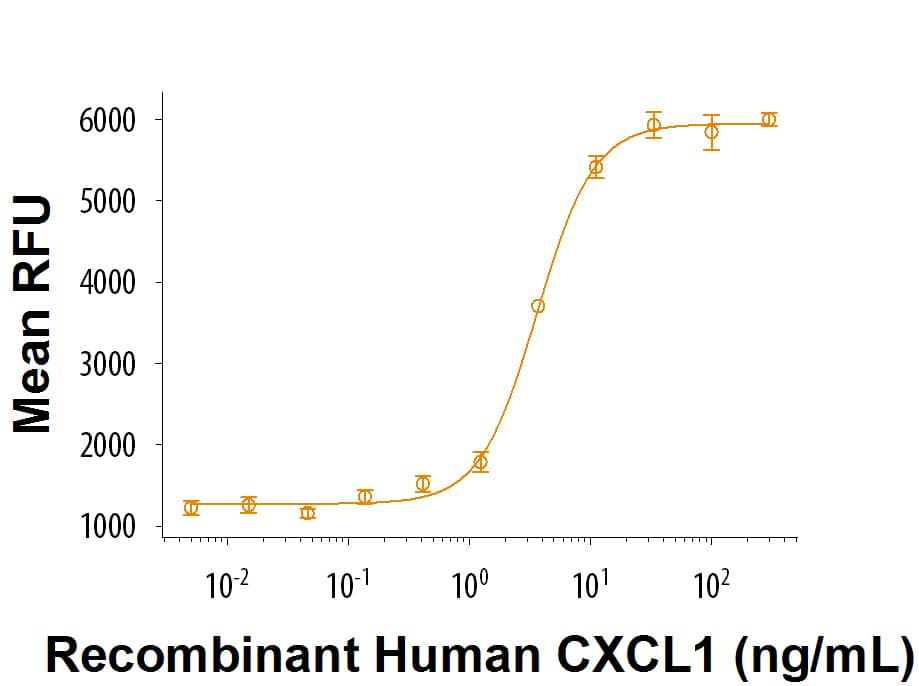 Recombinant Human CXCL1/GRO alpha Protein Bioactivity