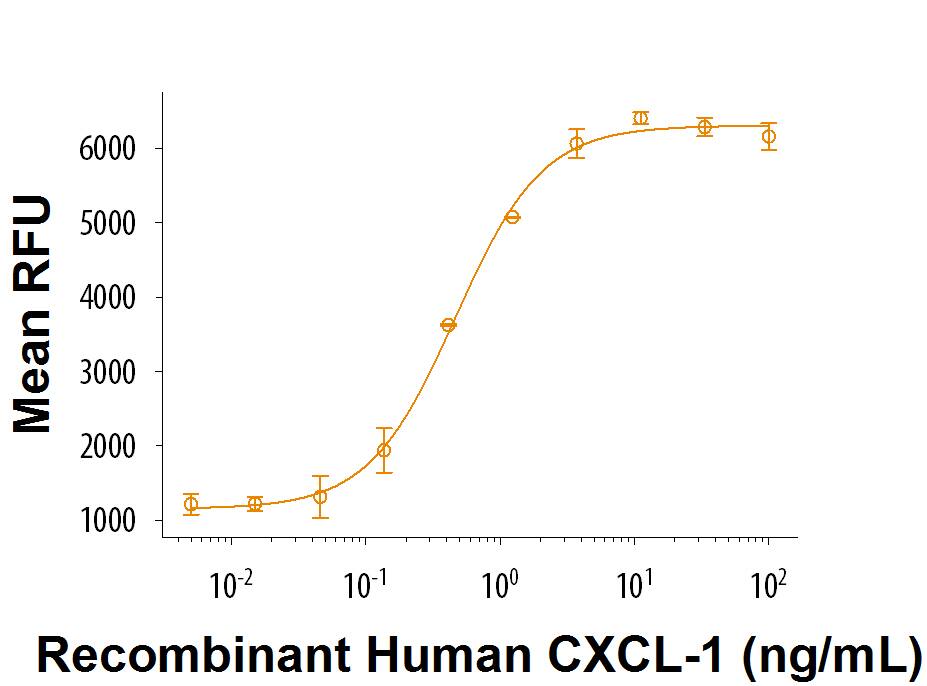 Recombinant Human CXCL1/GRO alpha (aa 39-107) Protein Bioactivity