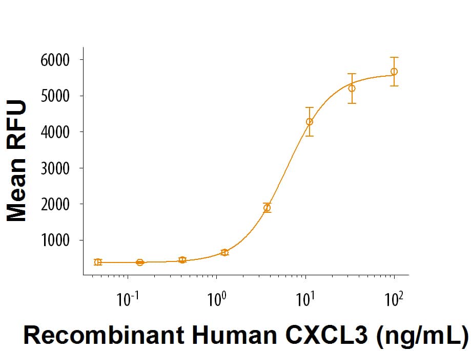 Recombinant Human CXCL3/GRO gamma Protein Bioactivity