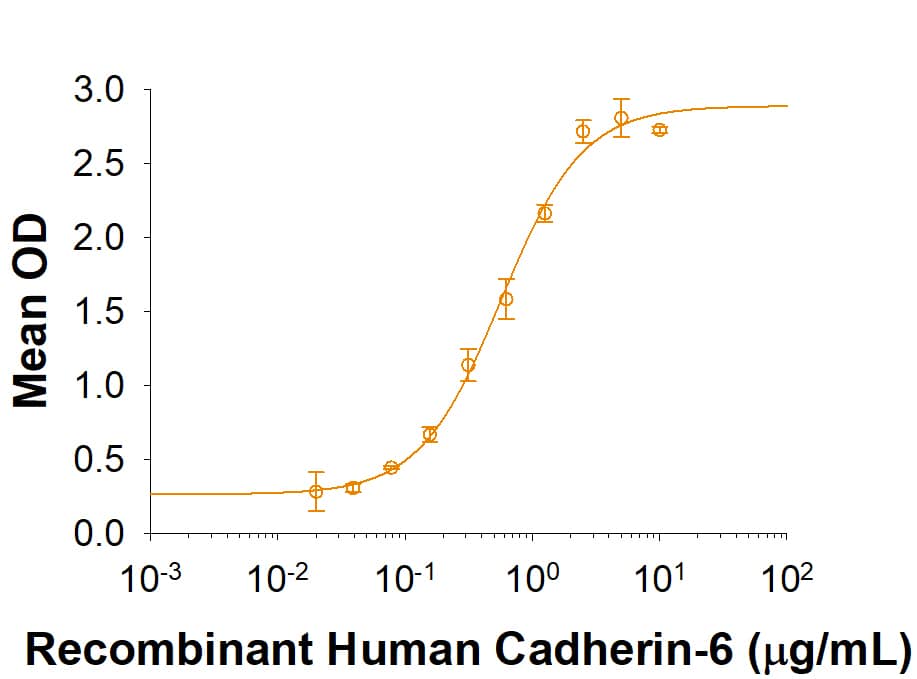 Recombinant Mouse Cadherin-9 His-tag Protein Binding Activity