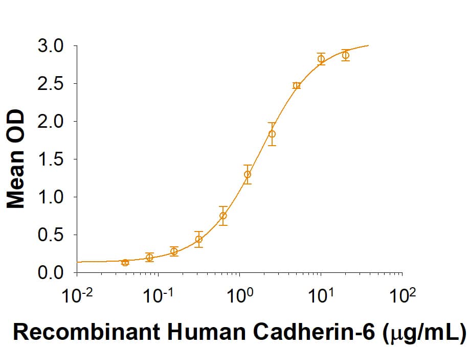 Recombinant Human Cadherin-9 Fc Chimera Protein Binding Activity