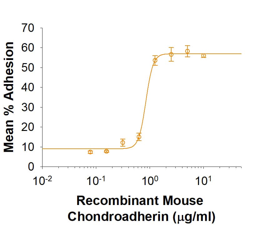 Recombinant Mouse Chondroadherin His-tag Protein Bioactivity