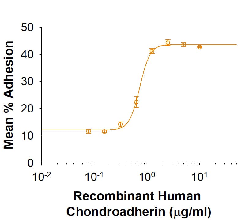 Recombinant Human Chondroadherin His-tag Protein Bioactivity