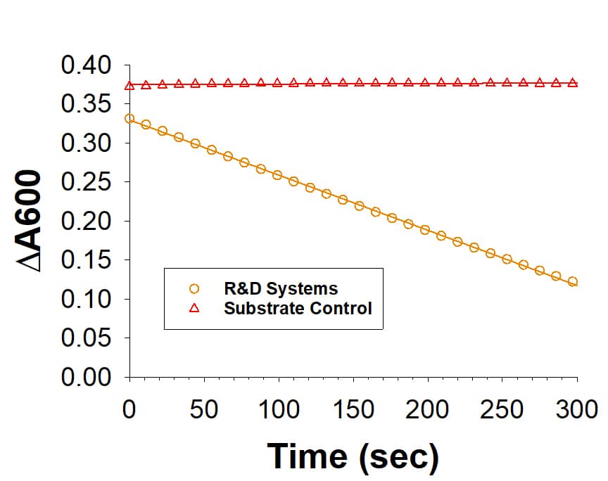 Recombinant Human Dihydroorotate Dehydrogenase Protein Binding Activity