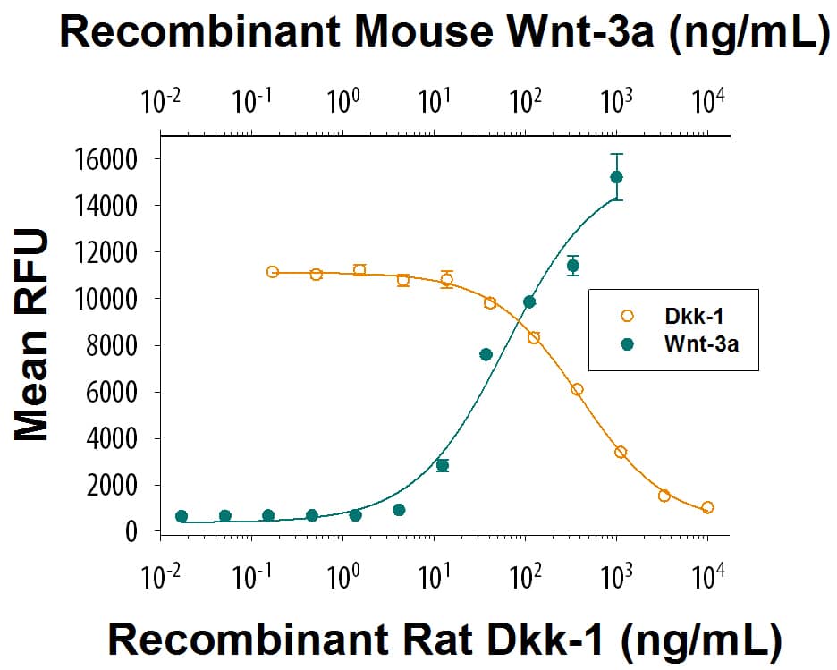 Recombinant Rat Dkk-1 Protein Bioactivity