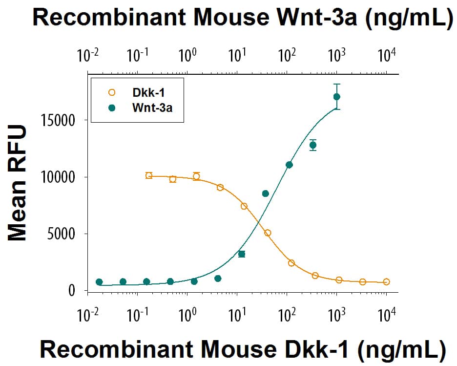 Recombinant Mouse Dkk-1 Protein Bioactivity