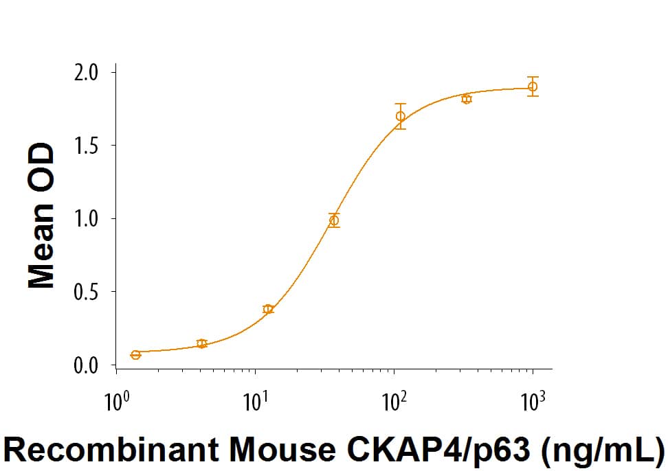 Recombinant Human Dkk-1 N-Terminal Fragment Protein Binding Activity