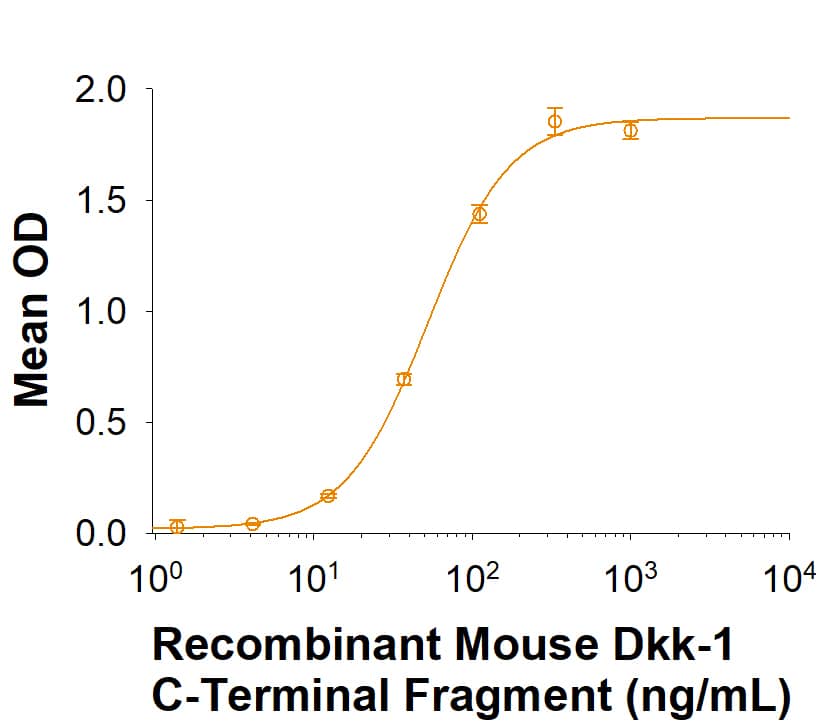 Recombinant Mouse Dkk-1 C-Terminal Fragment Protein Binding Activity