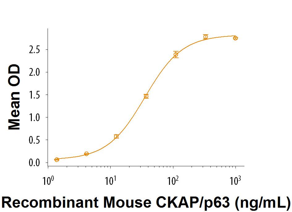 Recombinant Mouse Dkk-1 N-Terminal Fragment Protein Binding Activity