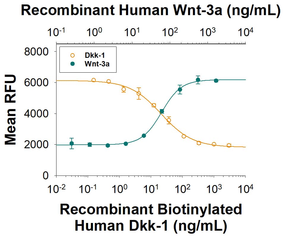 Recombinant Human Dkk-1 Biotinylated Protein Bioactivity