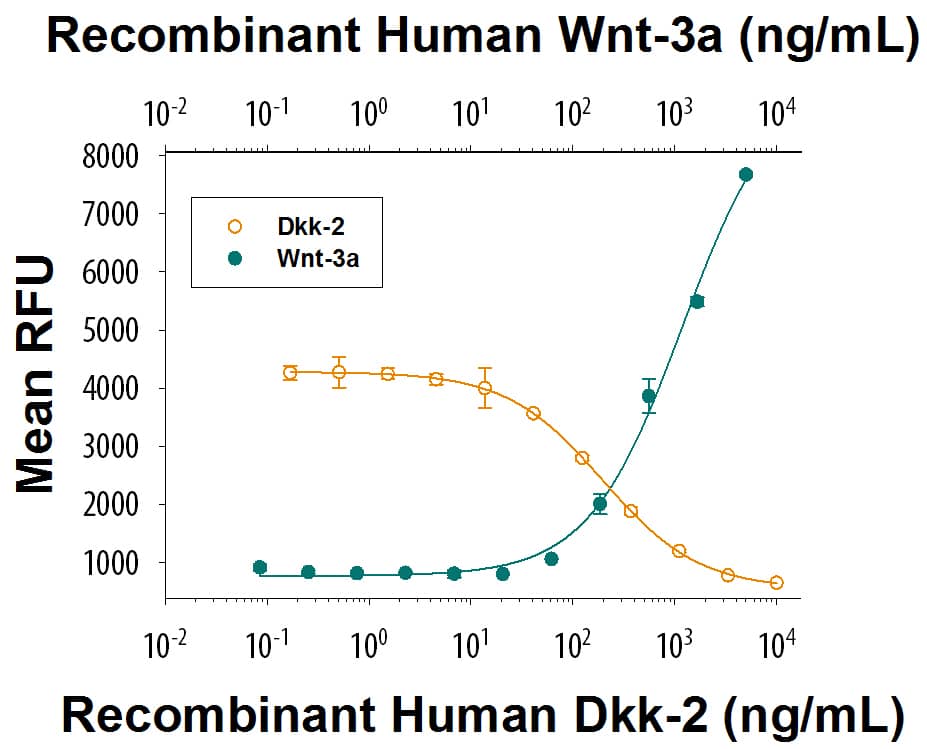 Recombinant Human Dkk-2 Protein Bioactivity