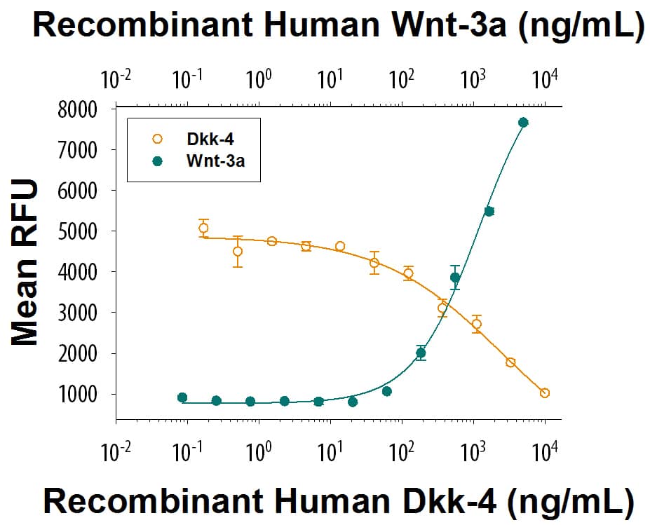 Recombinant Human Dkk-4 Protein Bioactivity