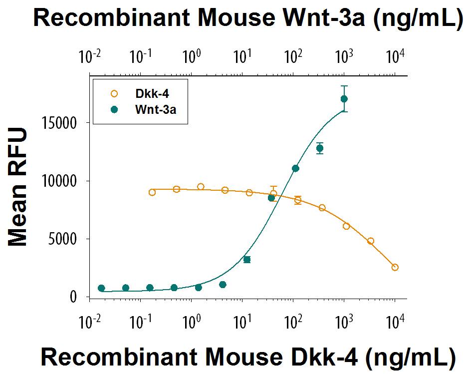 Recombinant Mouse Dkk-4 Protein Bioactivity