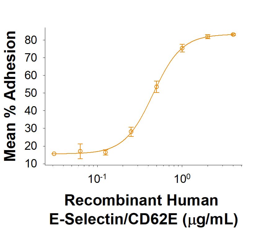 Recombinant Human E-Selectin/CD62E His-tag Protein Bioactivity