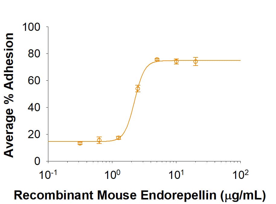 Recombinant Mouse Endorepellin His-tag Protein Bioactivity