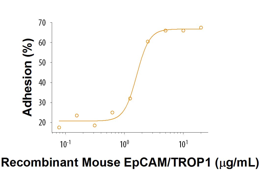 Recombinant Mouse EpCAM/TROP1 Fc Chimera Protein Bioactivity