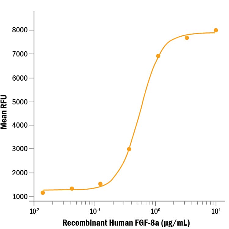 Recombinant Human FGF-8a Protein Bioactivity