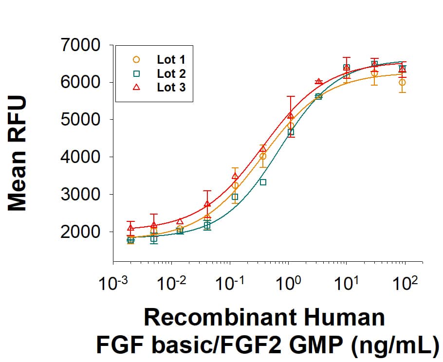 Recombinant Human FGF basic/FGF2 (146 aa) GMP Protein Bioactivity