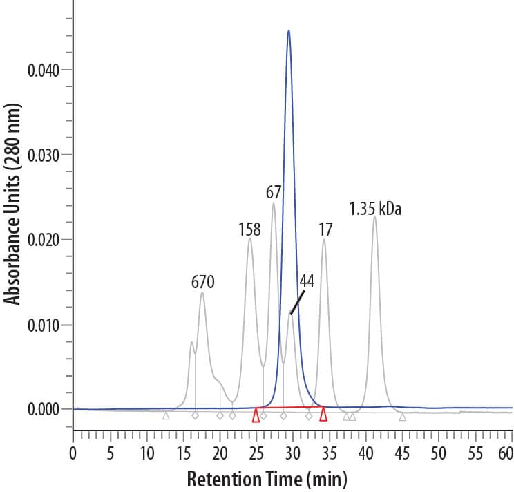 Recombinant Human FSH alpha/beta Protein Gel Filtration Chromatography