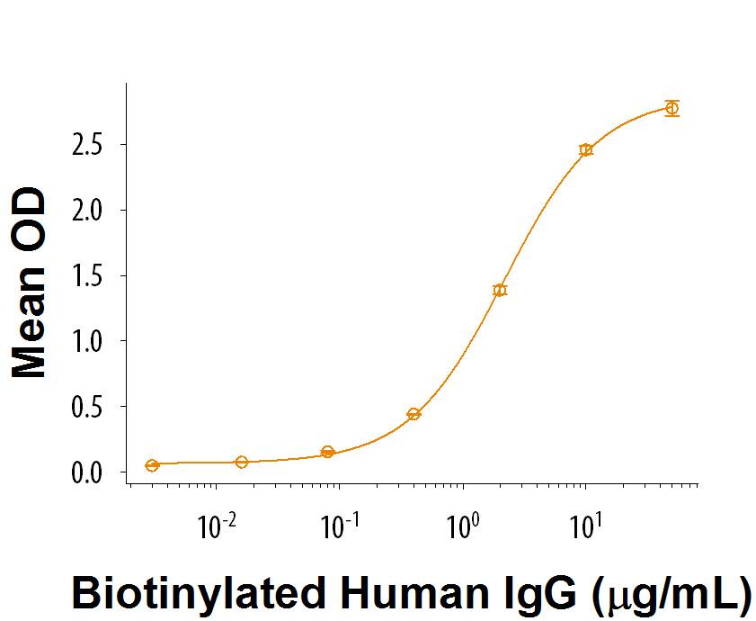 Recombinant Cynomolgus Fc gamma RIIA/CD32a Protein Bioactivity