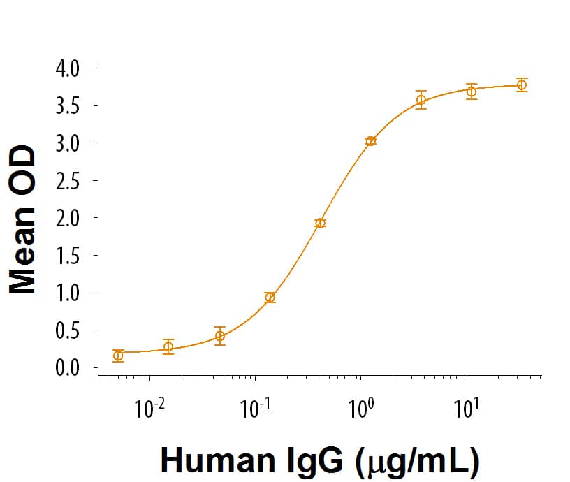 Recombinant Human Fc gamma RIIA/CD32a (H167) Protein Bioactivity