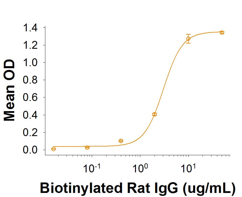 Recombinant Rat Fc gamma RIIA/CD32a Protein Binding Activity