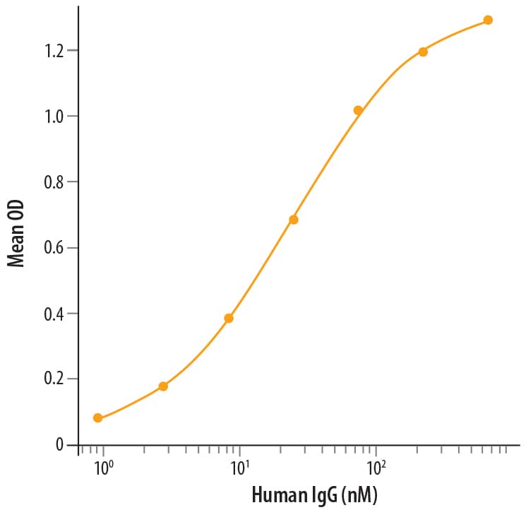 Recombinant Human Fc gamma RIIIA/CD16a Protein Binding Activity