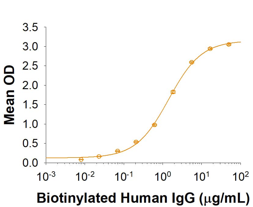 Recombinant Human Fc gamma RIIIA/CD16a (V176F) Protein Binding Activity