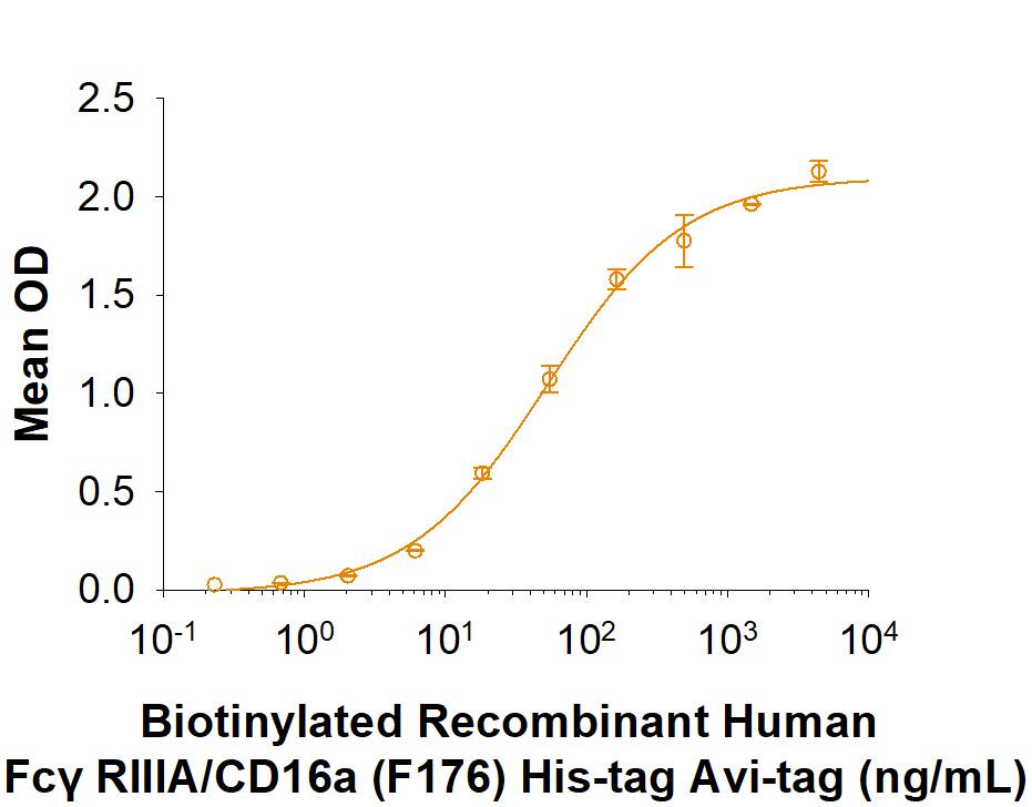 Recombinant Human Fc gamma RIIIA (F176) His Avi Protein Binding Activity