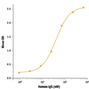 Recombinant Human Fc gamma RIIIB/CD16b Protein Binding Activity