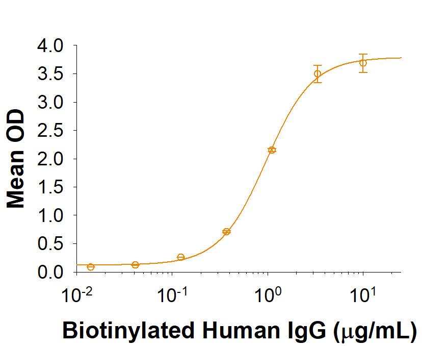 Recombinant Human Fc gamma RIIIB/CD16b (aa18-200) Protein Binding Activity