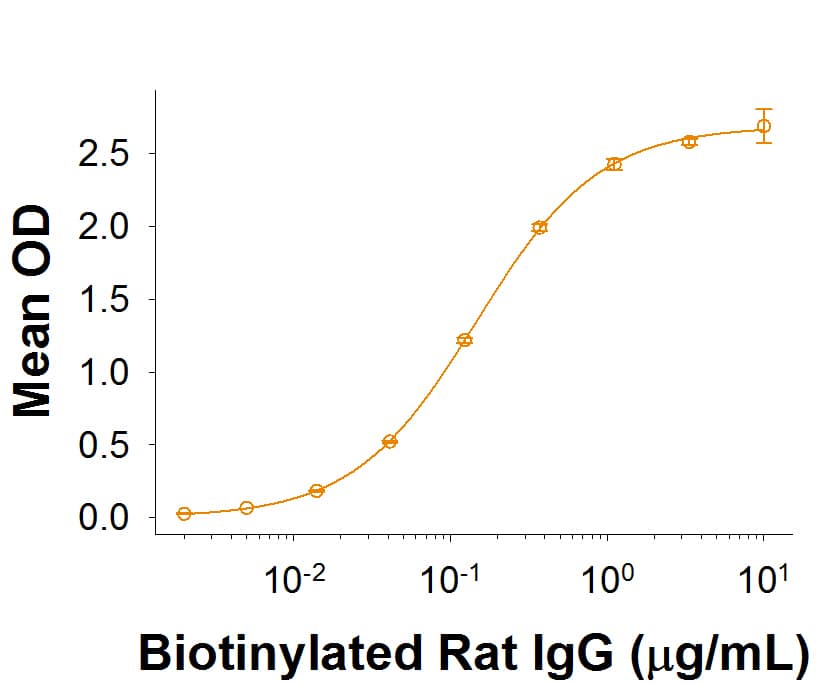 Recombinant Rat Fc gamma RI/CD64 Protein Binding Activity