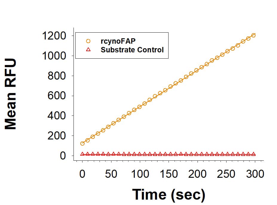 Recombinant Cynomolgus Fibroblast Activation Protein alpha Enzyme Activity