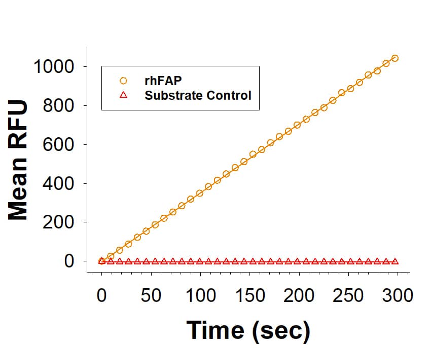 Recombinant Human FAP Protein Enzyme Activity